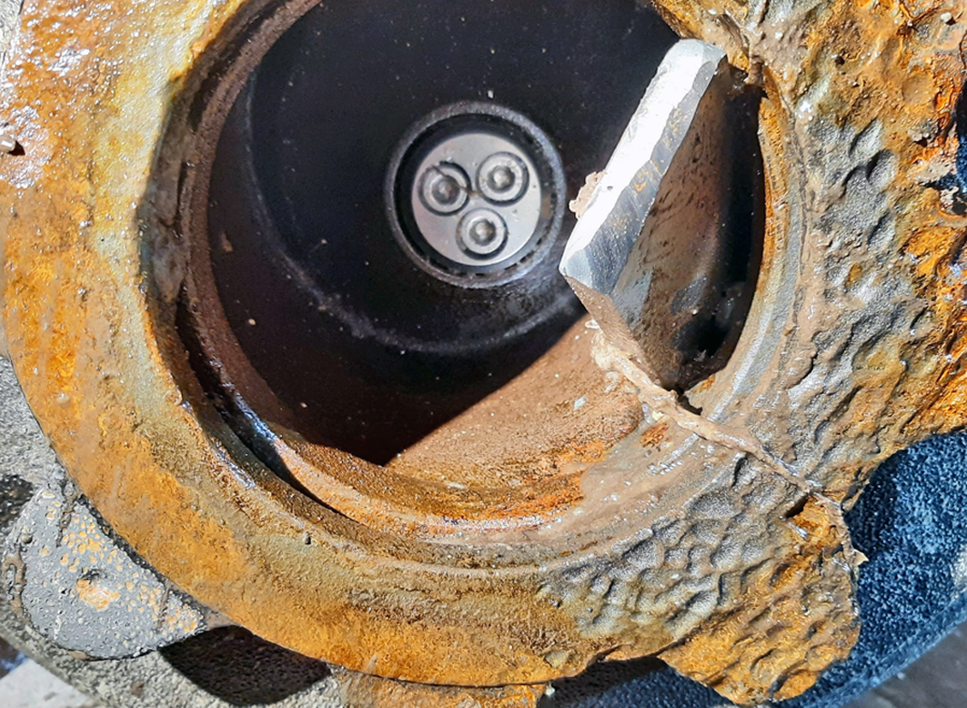 Ekstraksi Cairan Tepung Kentang di Denmark