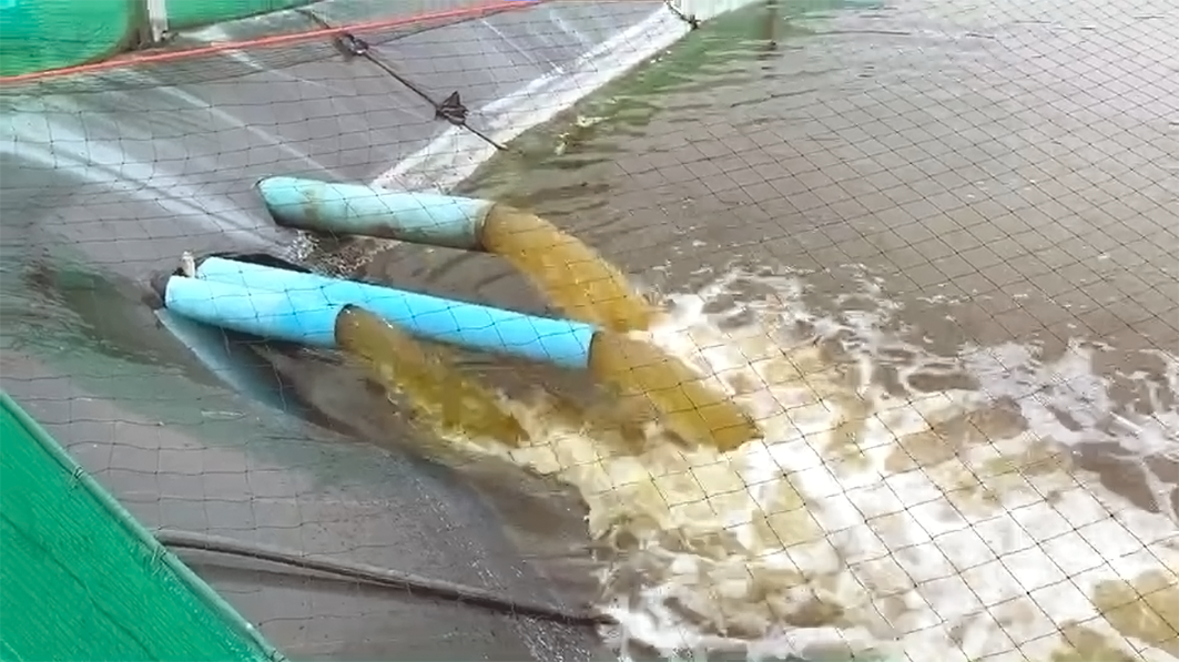 Sistem Air Tambak Udang di Chachoengsao, Thailand